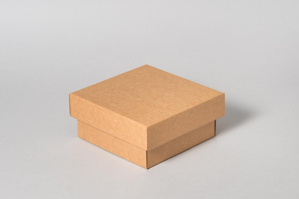 Kartona kaste ar vāku 100x100x50 mm, mikrogofra